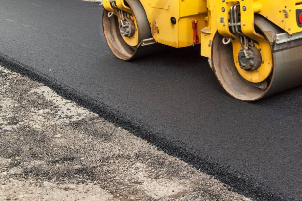 Best Residential Paver Driveway  in Deerfield, MI